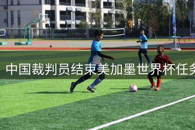 中国裁判员结束美加墨世界杯任务，马宁：“只要中国足球有需要，我一定会全力以赴！”