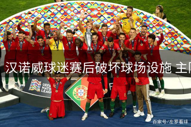 汉诺威球迷赛后破坏球场设施 主队发起众筹维修